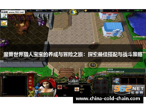 魔兽世界猎人宝宝的养成与冒险之旅：探索最佳搭配与战斗策略