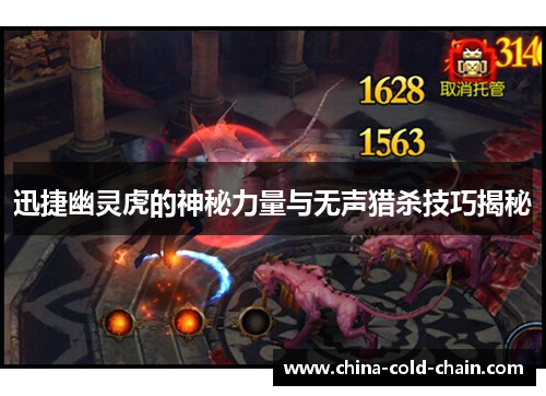 迅捷幽灵虎的神秘力量与无声猎杀技巧揭秘