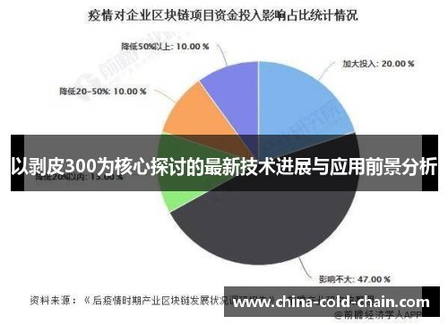 以剥皮300为核心探讨的最新技术进展与应用前景分析