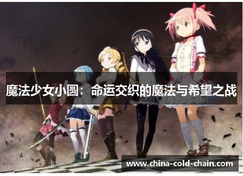 魔法少女小圆：命运交织的魔法与希望之战