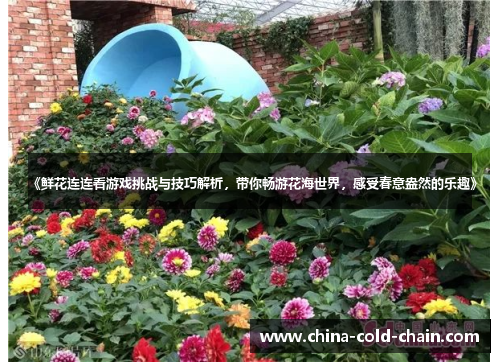 《鲜花连连看游戏挑战与技巧解析，带你畅游花海世界，感受春意盎然的乐趣》