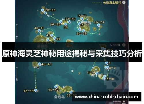 原神海灵芝神秘用途揭秘与采集技巧分析